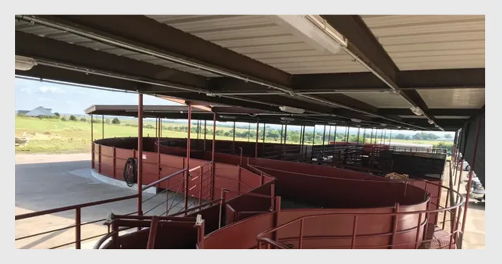 Covered low-stress cattle handling pens